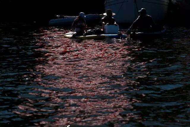 With an American flag reflected in the Willamette River, people sit on their paddle boards and listen to the music at the Waterfront Blues Festival 