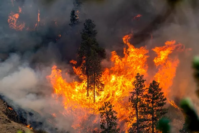 Idaho Wildfires