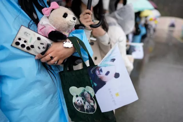 Visitors hold pictures of Fu Bao