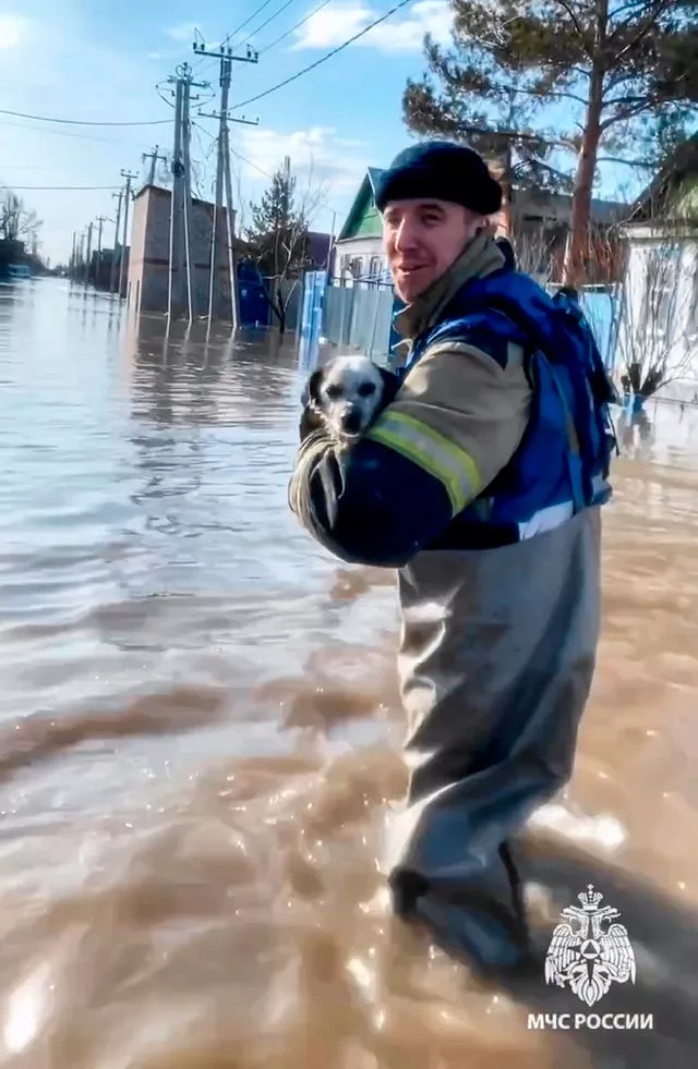A Russian Emergency Ministry worker carries a dog during an evacuation of local residents after a part of a dam burst causing flooding in Orsk, Russia