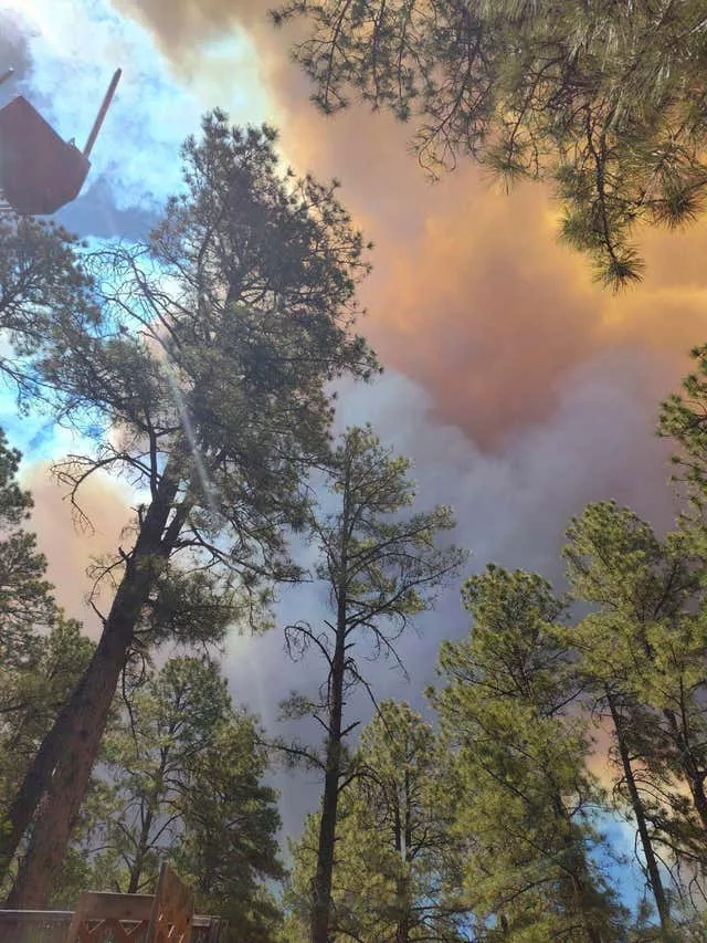Cool weather could corral blazes that made thousands flee New Mexico ...