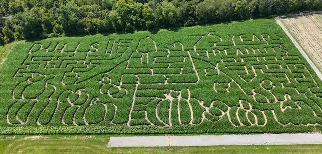 Comics-Peanuts-Corn Mazes