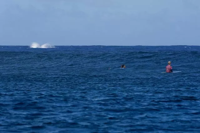 A whale, breaches as Brisa Hennessy, of Costa Rica and Tatiana Weston-Webb, of Brazil, compete during the semi-final round of the surfing competition in Tahiti