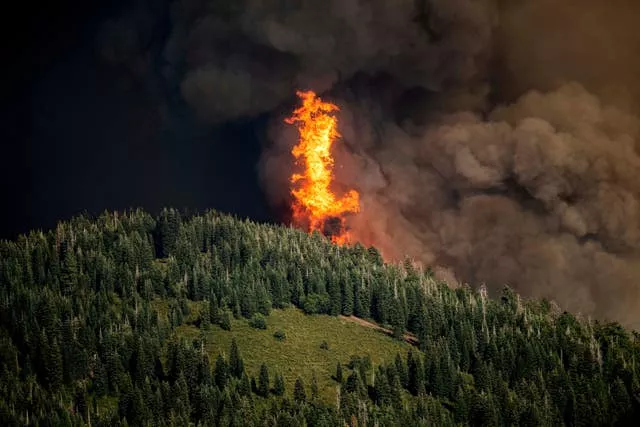 Flames leap above trees as the Park Fire burns in the Mineral community of Tehama County