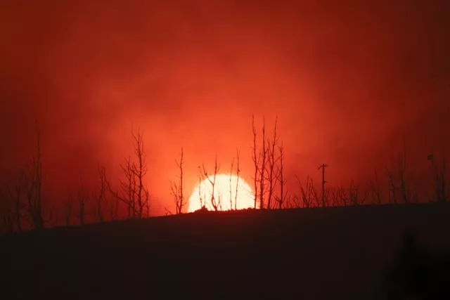 The sun sets behind burned trees in Varnava village during a wildfire, north of Athens, Greece