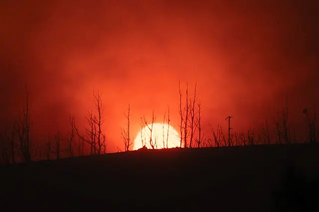 Le soleil se couche derrière des arbres en feu dans le village de Varnava lors d'un incendie de forêt, au nord d'Athènes, en Grèce