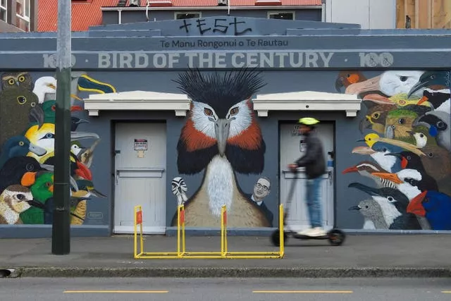 A man rides past a mural in Wellington celebrating John Oliver’s New Zealand’s 2023 Bird of the Year campaign