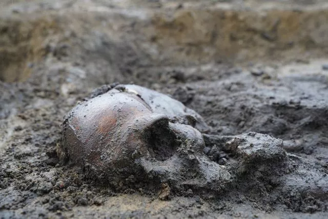 A skull in soil