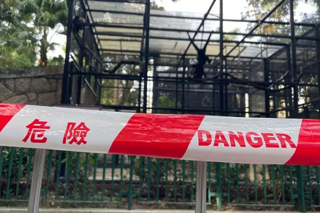 A cordon with the words danger is placed around the enclosures of monkeys in Hong Kong