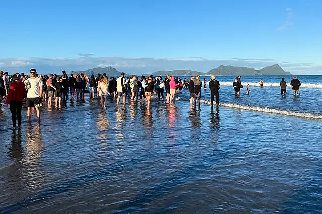 New Zealand Whale Stranding