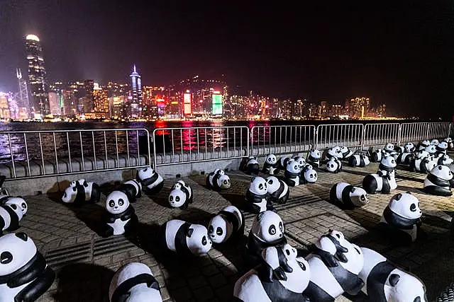 Hong Kong Panda Drone Show