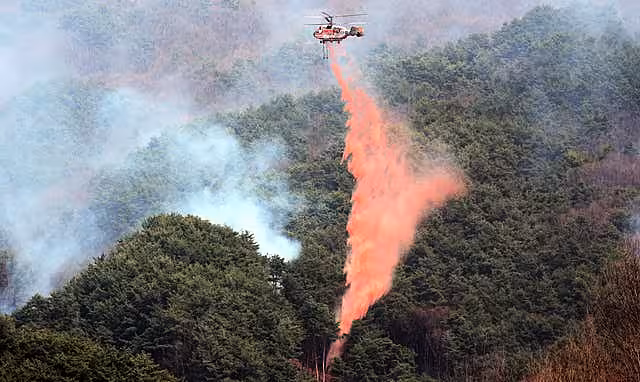 South Korea Wildfires