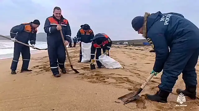 Workers on a beach