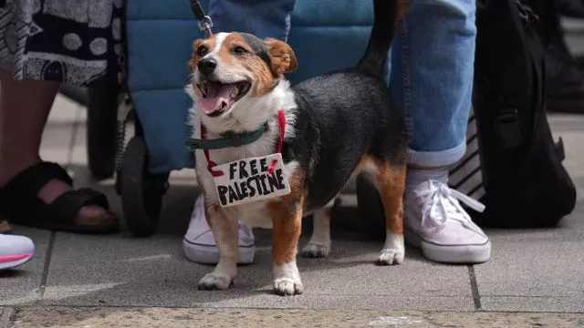A dog with a sign around its collar