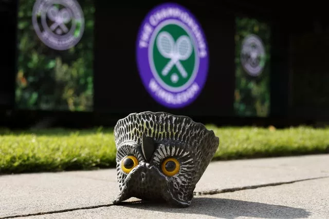 Deterrent owl