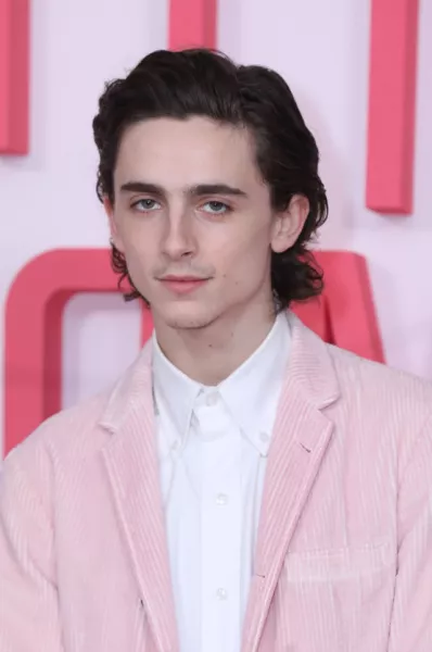 Timothee Chalamet birthday tribute