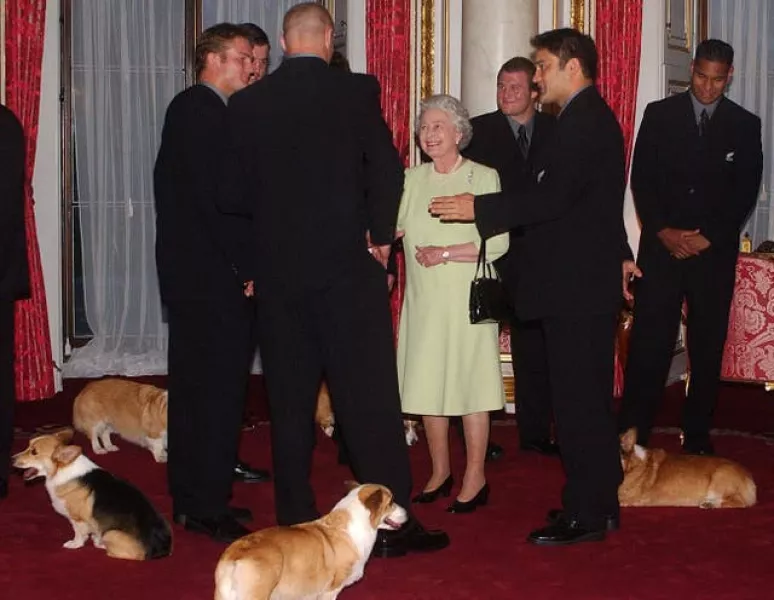 Queen meeting the New Zealand All Blacks rugby team at Buckingham Palace, London surrounded by corgis. Kirsty Wigglesworth/PA Wire