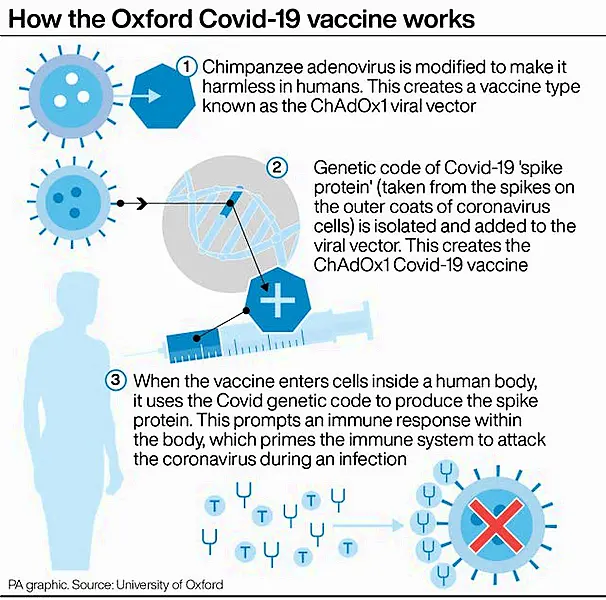 Coronavirus graphic