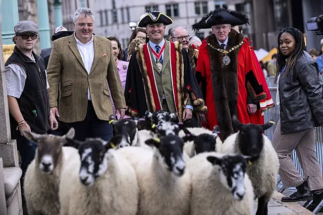 10th London Sheep Drive TOP CHEF RICHARD CORRIGAN TO LEAD 10th LONDON SHEEP DRIVE