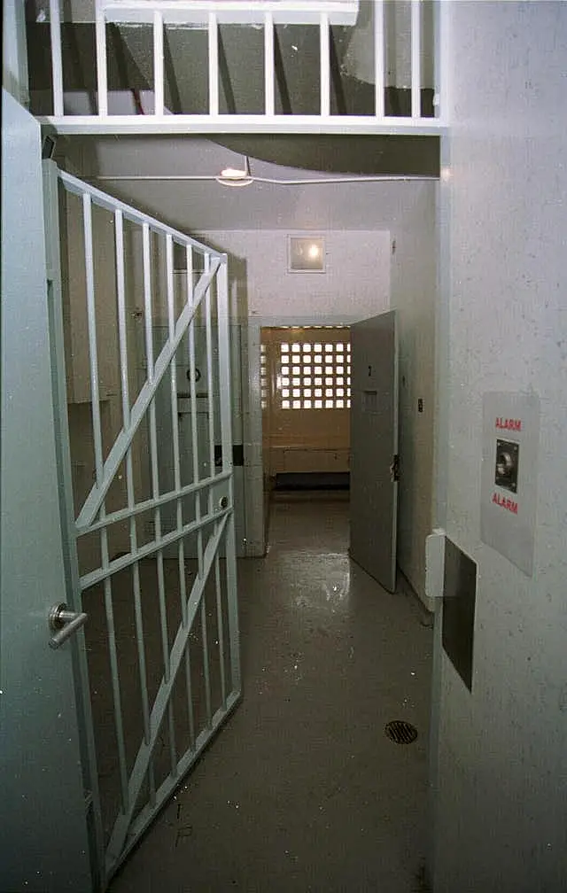 Banfield Trial Cells