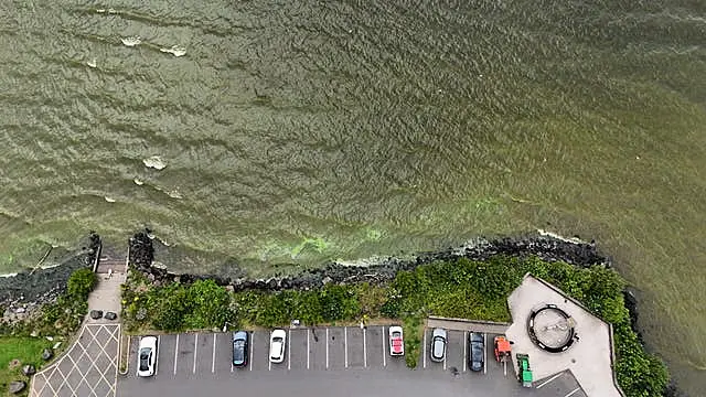 Blue-green algae on Lough Neagh in July 2024