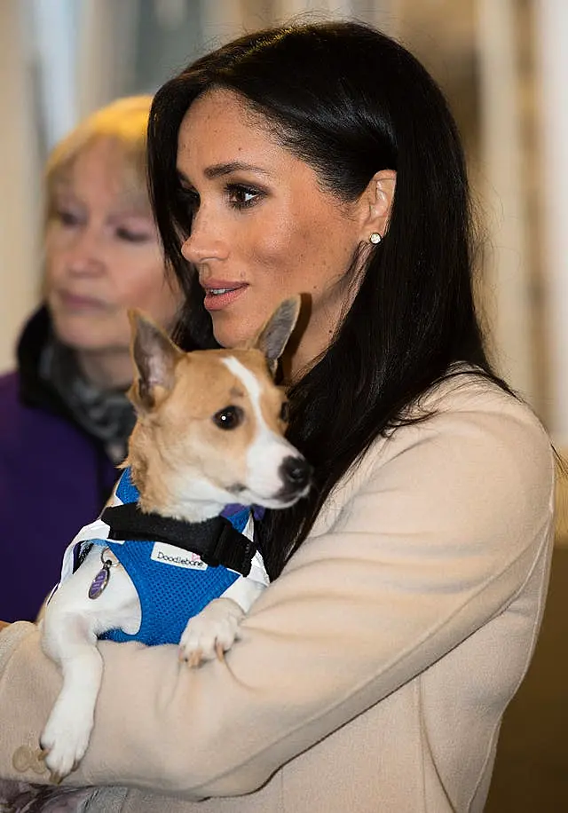 Royal visit to Mayhew charity