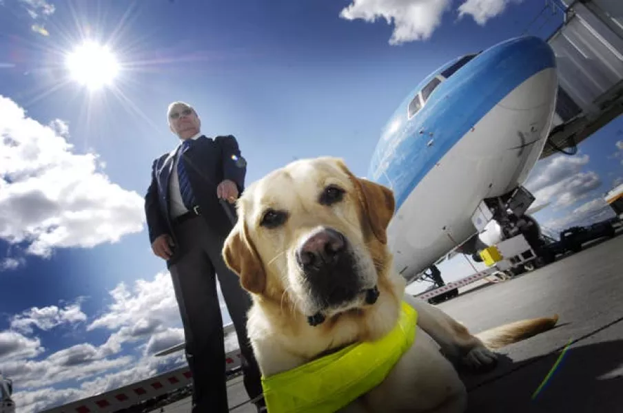 Guide dogs allowed to fly