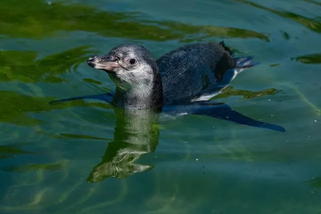 Marwell Zoo stocktake