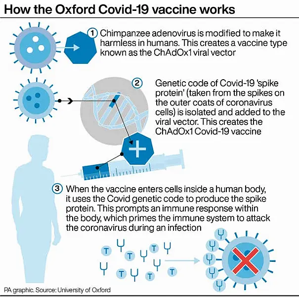 How the Oxford Covid-19 vaccine works