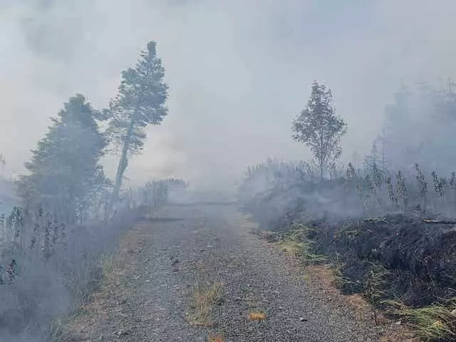 Wildfires in Northern Ireland