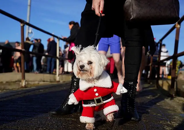 Clontarf Yacht & Boat Club Christmas swim in aid of RNLI