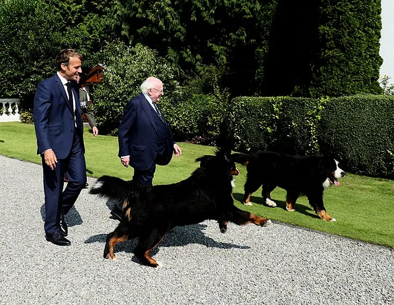 Emmanuel Macron and Michael D Higgins