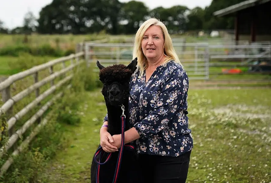 Geronimo the alpaca