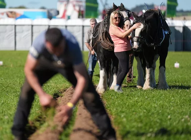 A woman pats a horse as people take part in the National Ploughing Championships 