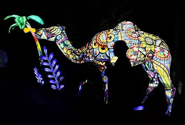 Wild Lights at Dublin Zoo