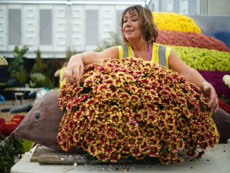 Chelsea Flower Show 2021