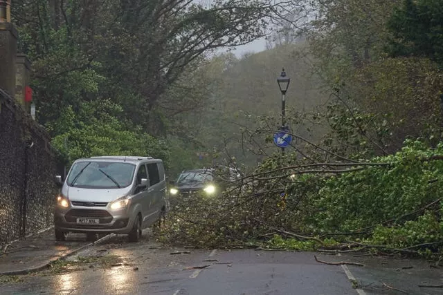 Cars passing a fallen tree in Dover, Kent