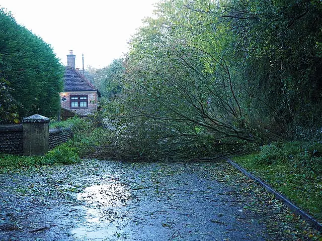 A fallen tree blocks a lane in Barnham, West Sussex