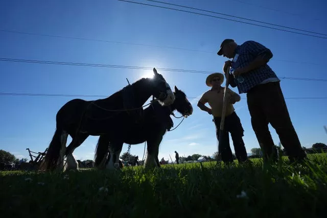 Two heavy horses and two men silhouetted