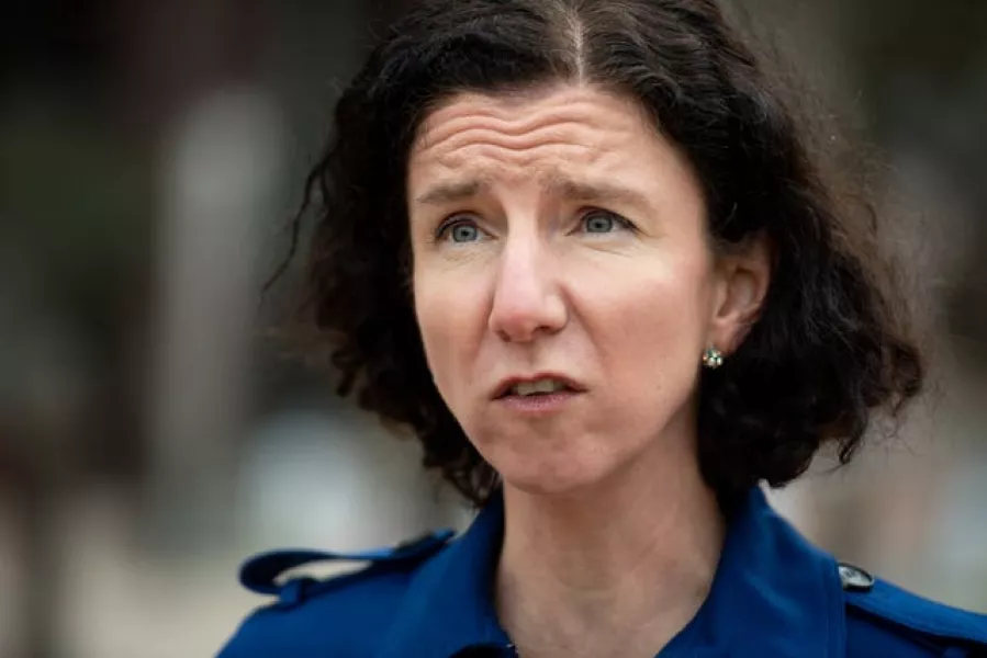 Labour Party chair Anneliese Dodds