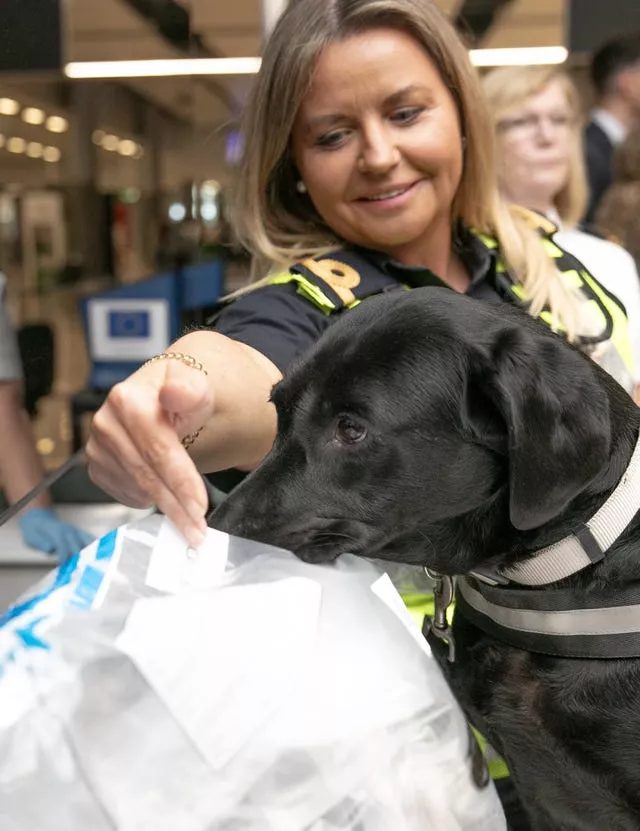 A customs officer holds a plastic bag open for a black sniffer dog to inspect