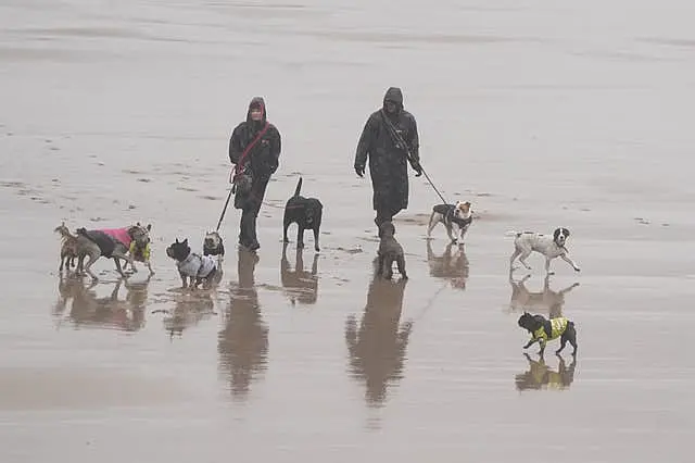 Dog walkers brave the rain and wind on the beach in Tynemouth