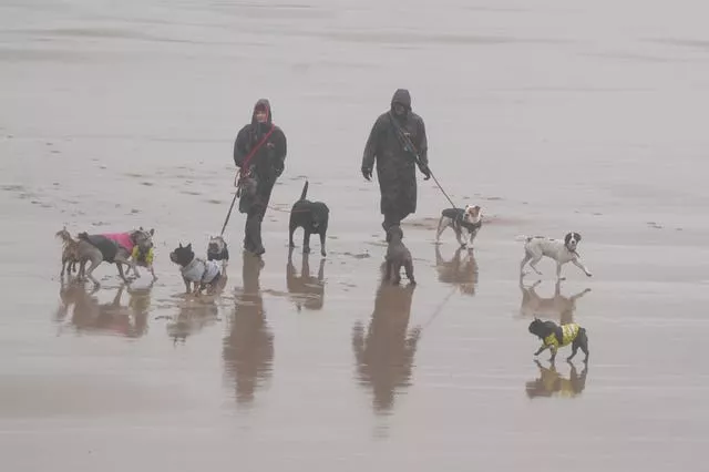 Dog walkers brave the rain and wind on the beach in Tynemouth