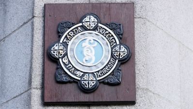 Dog Dies After Garda Firearm Discharged During House Search