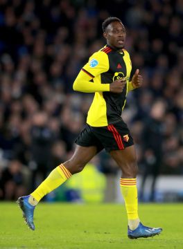 Graham Potter Impressed By Danny Welbeck As Striker Waits To Make Brighton Bow