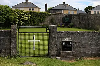 Mother And Baby Home Records: Plans For Survivors To Access Files