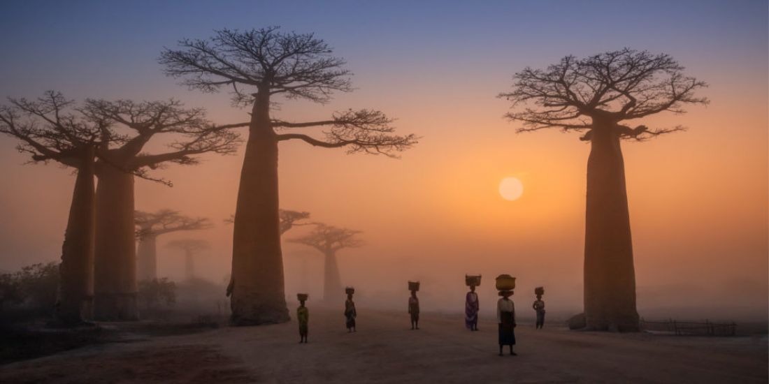 See These Astonishing Winners Of A Panoramic Photography Award