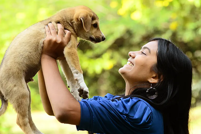 Reasons To ‘Adopt Not Shop’ When Getting A Dog