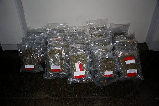 Man Arrested After Seizure Of €620,000 Worth Of Cannabis In Meath