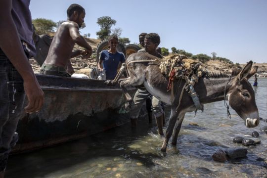 Ethiopians Warned Of ‘No Mercy’ In Tigray Offensive